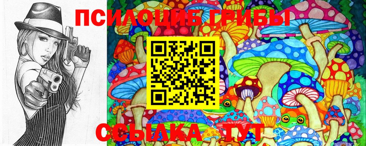 Псилоцибиновые грибы Psilocybe Новошахтинск
