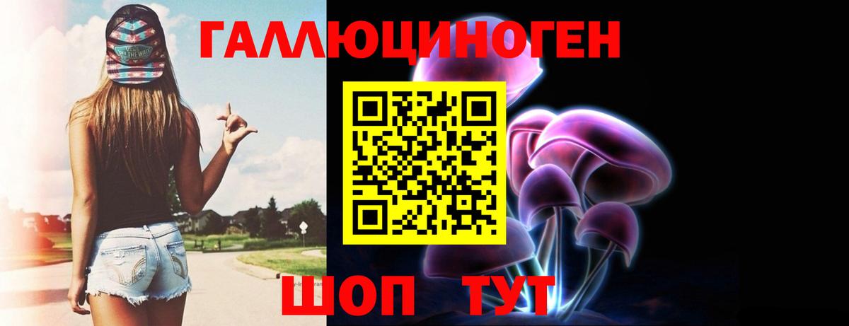 Новошахтинск  Псилоцибиновые грибы Psilocybine cubensis  Вход с VPN 