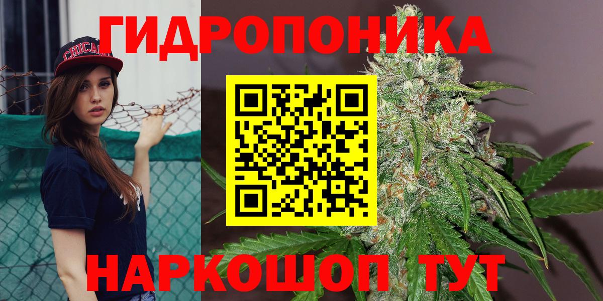 Бошки марихуана план  МАРИХУАНА ГИДРОПОН  МАРИХУАНА конопля  Вход с VPN  Новошахтинск 